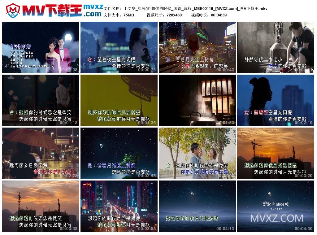 于文华_崔来宾-想你的时候_国语_流行_MEE00116